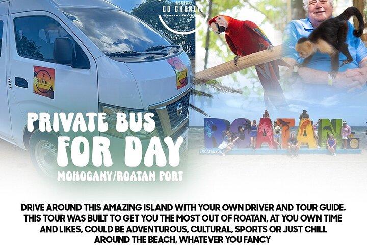 Van for a Day mahagony/Roatan ports