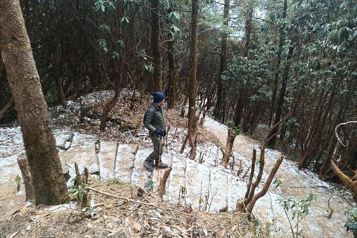 Poon Hill Trek von Pokhara 4 Tage