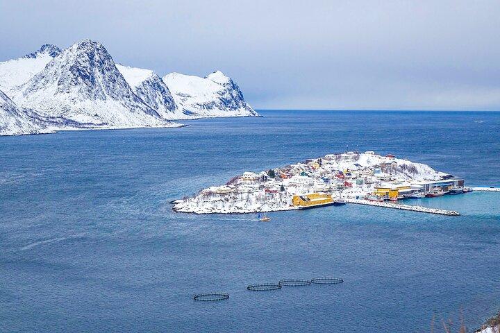 Heldagstur i Senja National Scenic Route från Tromsö
