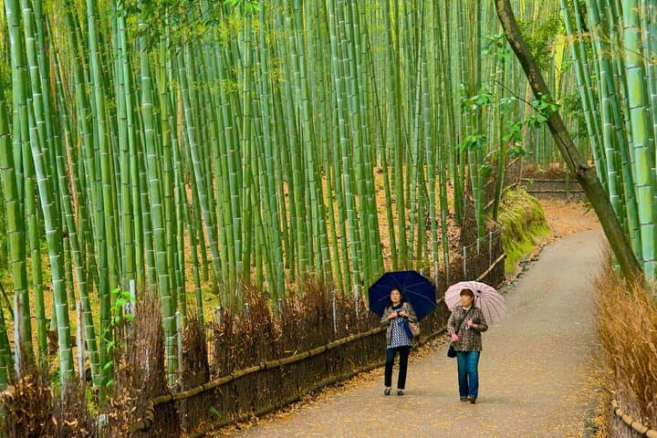 Kyoto Arashiyama Fushimi Inari Taisha Shrine and Nara Park Tour