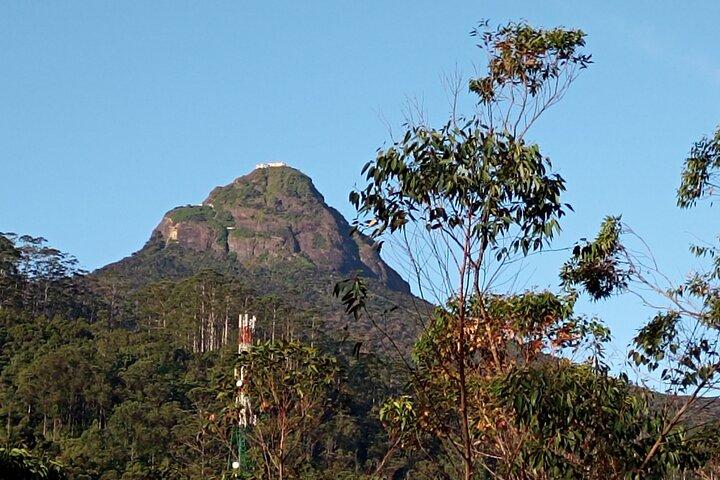 Kandy à Nallathanniya (Monter Adams Peak)