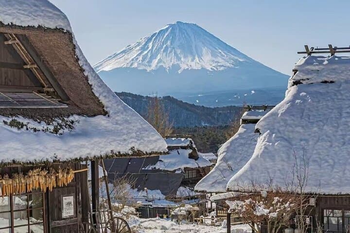Mount Fuji Day Tour:Lake Kawaguchi, HealingVillage,Oshino Hakkai
