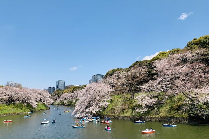 Tokyo Imperial Palace and Heritage of Edo Castle Private Tour