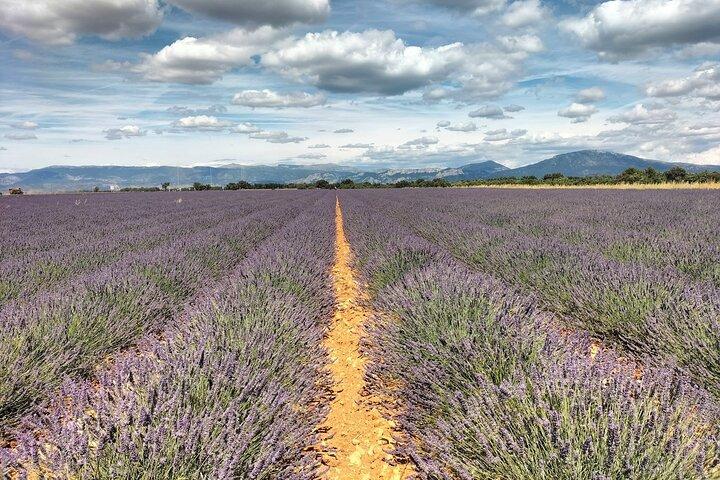Gorges du Verdon : Lavendel, Canyon Boot Picknick & Dörfer