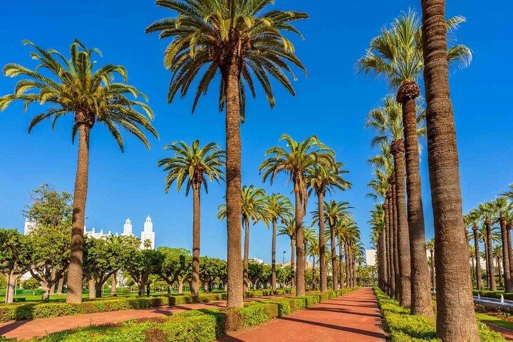 Discover Casablanca Culture, Architecture and Coastal Beauty