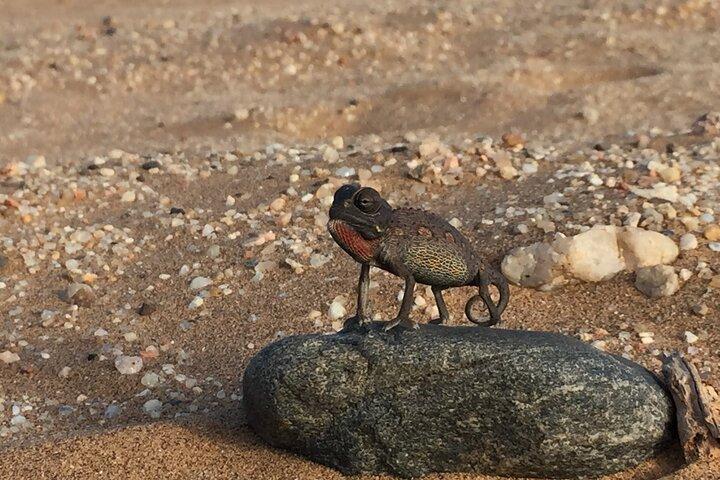 Caminhada do Deserto de Namib