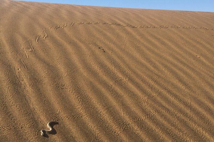 Caminhada do Deserto de Namib