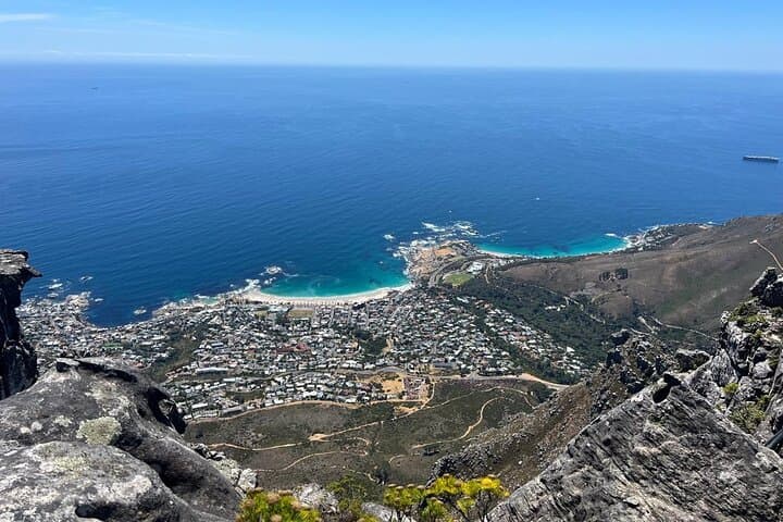 Kirstenbosch Botanical Garden and Table Mountain with Wine Tour