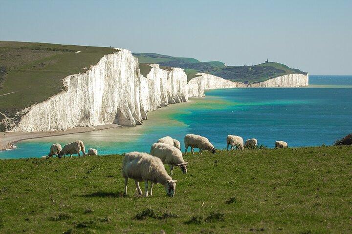 Sussex Coast Road Trip Guidebook - Sete Irmãs e Brighton