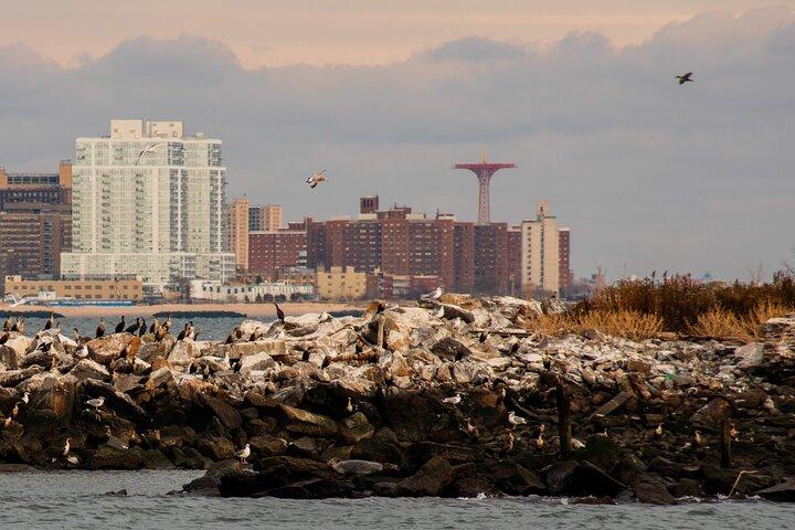New York City Sightseeing and Seals Tour de barco