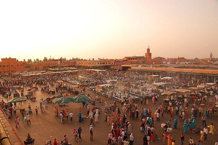 Private Half-Day Guided City Tour of Marrakech