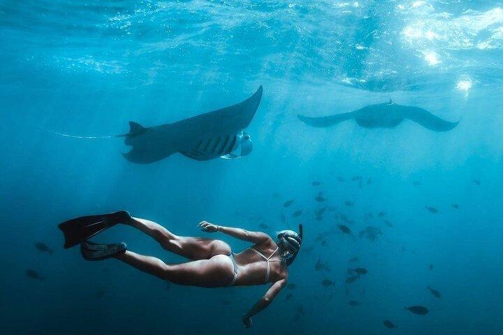 Volledige dag Nusa Penida Manta Point snorkelen en West Island Tour