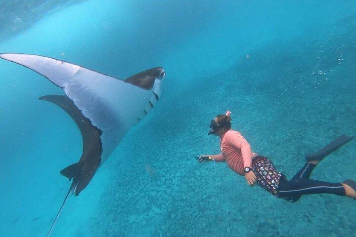 Volledige dag Nusa Penida Manta Point snorkelen en West Island Tour