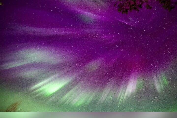 Arctic Lights på jakt efter mirakel