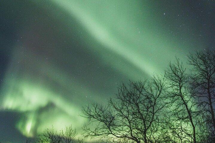 Arctic Lights på jakt efter mirakel