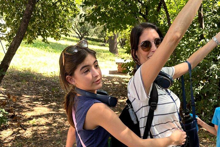 Excursão personalizada para crianças no Fórum Romano do Coliseu e no Monte Palatino