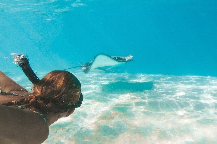 Attività simili a Grand Cayman Stingray City