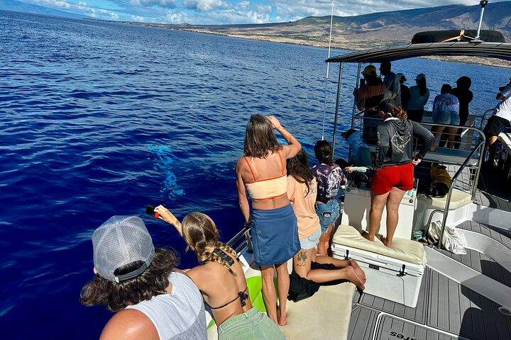 Anmeldelse af Maui Mid Day Magic Whale Watch