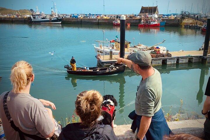 ダブリンの海岸沿いをハイキングし、地元の人と愛犬と一緒にビールを楽しむプライベートツアー
