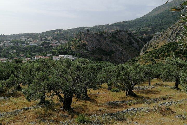 Haven van Bar tour - Ontdek Adriatisch gebied - Bar en Ulcinj tour