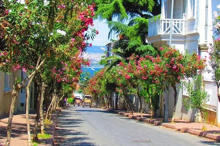 Princess Island (Büyükada)Tour with Lunch and Island Shuttle Trip