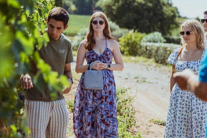 Brunello di Montalcino Wine Tour de 2 vinícolas com almoço combinado