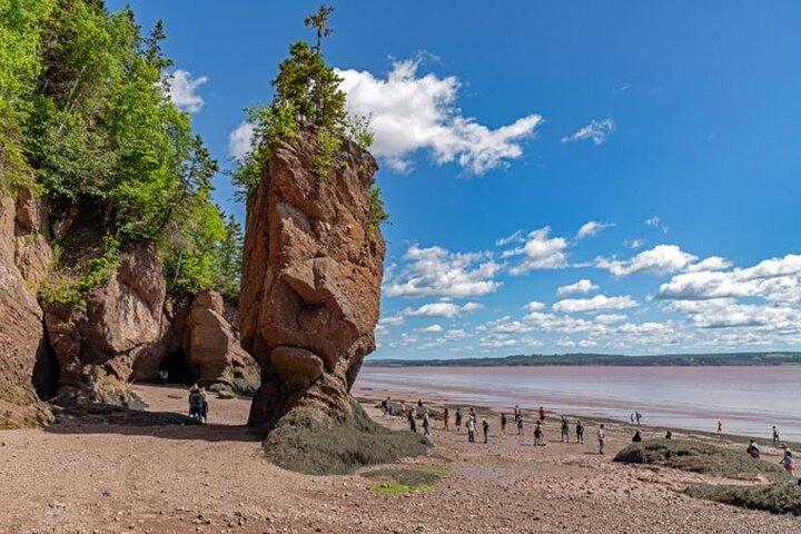 Tour privato di Saint John (NB) Bay of Fundy e Hopewell Rocks