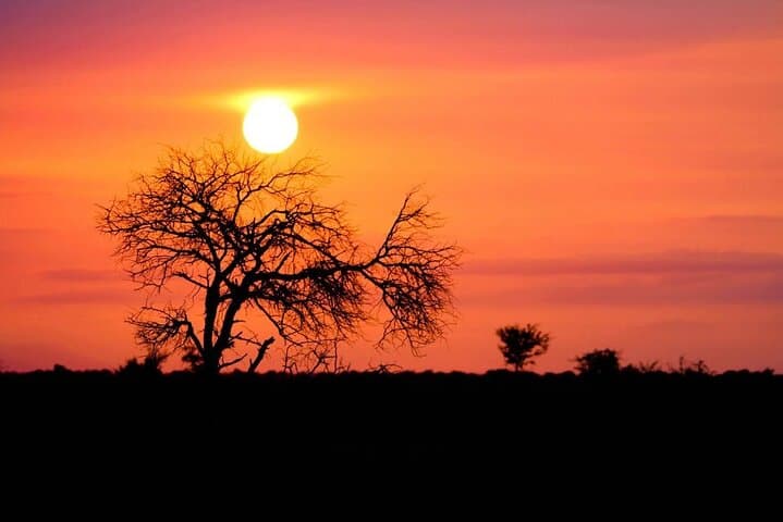 Kruger National Park - Morning or Afternoon Safari