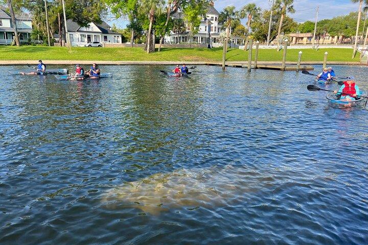 Visite de Tarpon Springs en kayak clair de la saison des lamantins