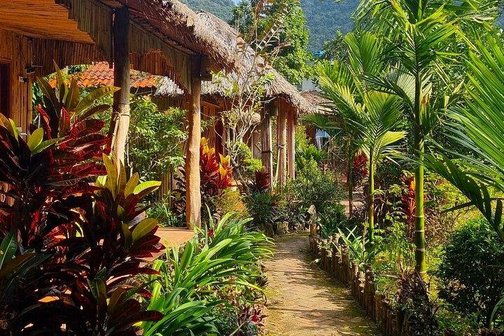 Hanoi: 2 Tage 1 Nacht Abenteuer Cat Ba Nationalpark, Lan Ha Bay