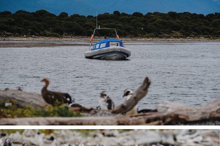Ushuaia: Excursion en bateau depuis Puerto Almanza avec Snack