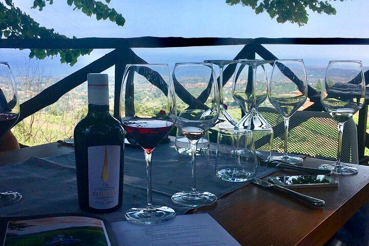Mt Etna och vingård Lunch Big Day Out Tour - 3 personer minst