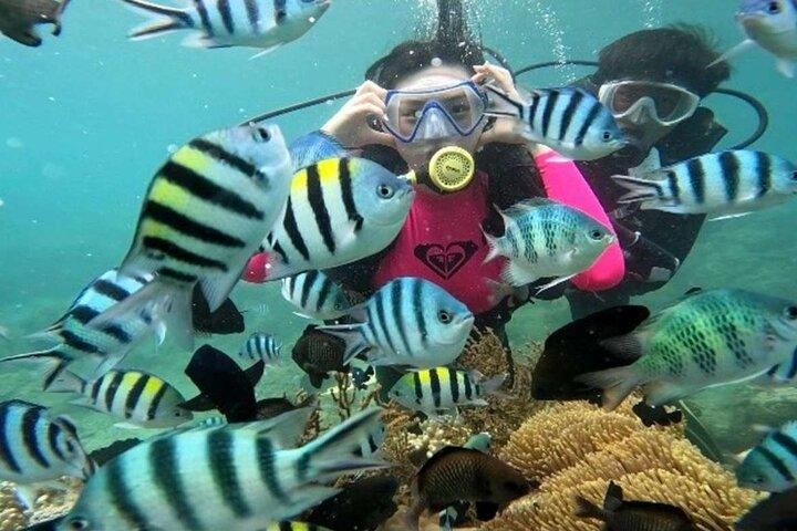 Nha Trang koral eventyr snorkling og flydende bar oplevelse