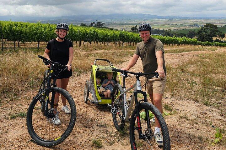 Tour de bicicleta familiar de Stellenbosch