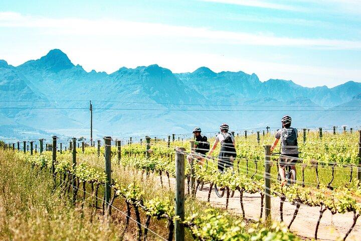 Tour de bicicleta de meio dia de Stellenbosch Winelands