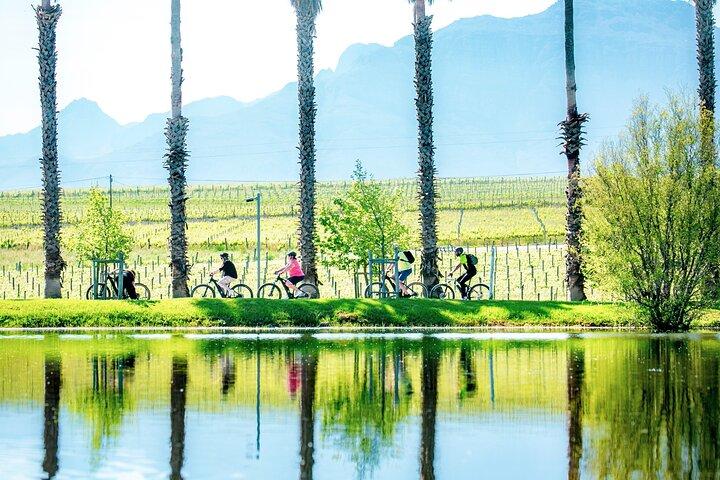 Tour de bicicleta de meio dia de Stellenbosch Winelands