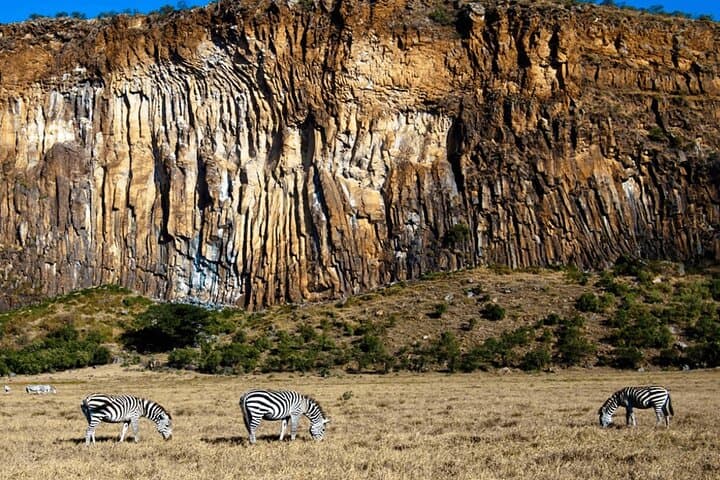 Day Trip to Hell's Gate National Park and Lake Naivasha