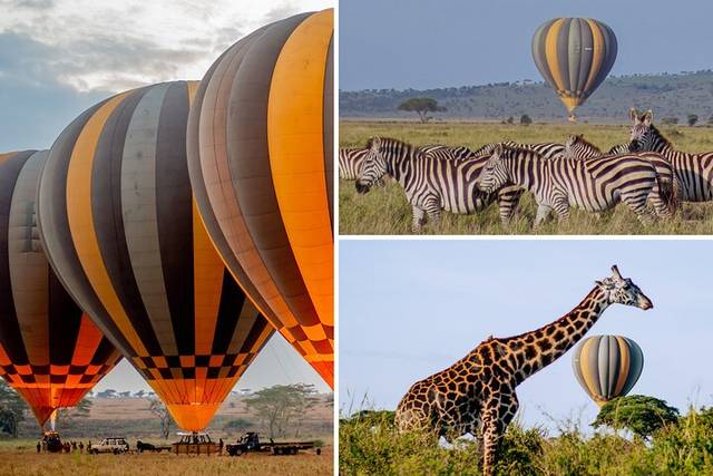 Serengeti