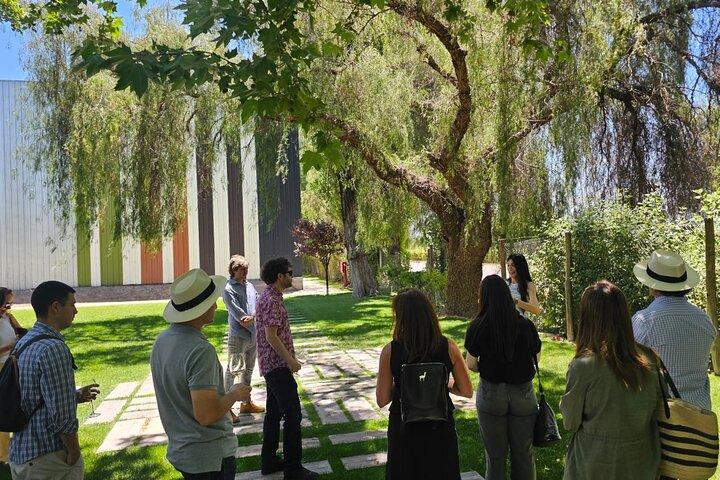 Maipu e Lujan Wine & Olive Oil Tour, degustazioni e pranzo in coppia