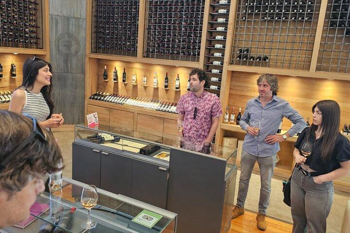 Maipu e Lujan Wine & Olive Oil Tour, degustazioni e pranzo in coppia