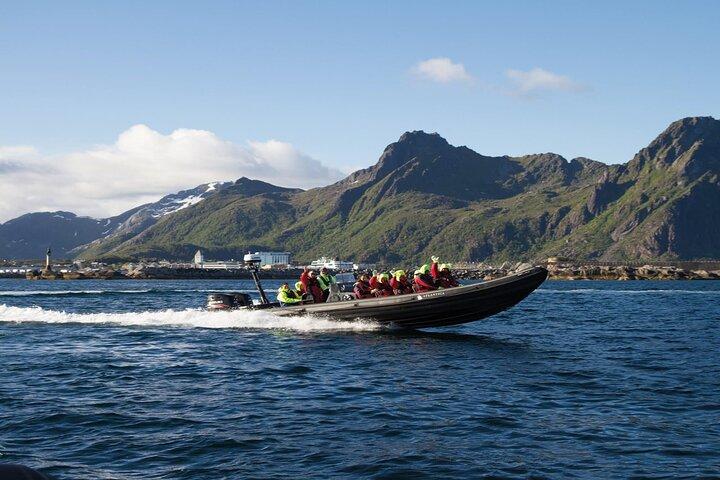 Lofoten RIB Safari con Aquila di Mare e crociera Trollfjord