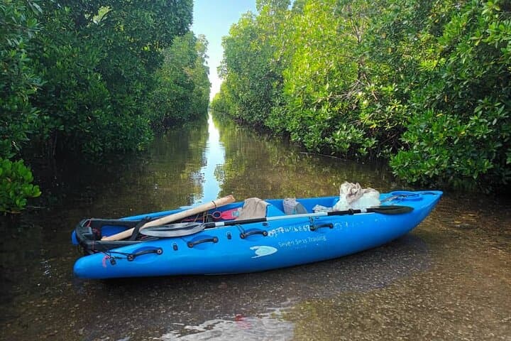 Full day Mangrove kayak + Jazani forest + kuza cave + Paje beach