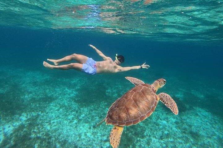 Cancun Catamaran: Segla till Isla Mujeres + Buffé & dryck