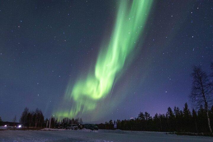 Fra Rovaniemi: Aurora Dreamscape Tour i Lapland