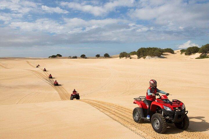 Paradise Valley & Desert Dunes con paseo en camello y quad