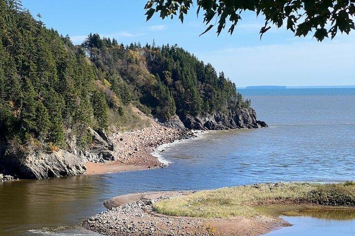 Tour privato di Saint John (NB) Bay of Fundy e Hopewell Rocks
