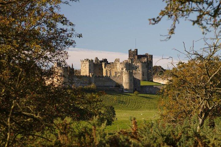 Alnwick Castle og Rosslyn Chapel dagstur fra Edinburgh
