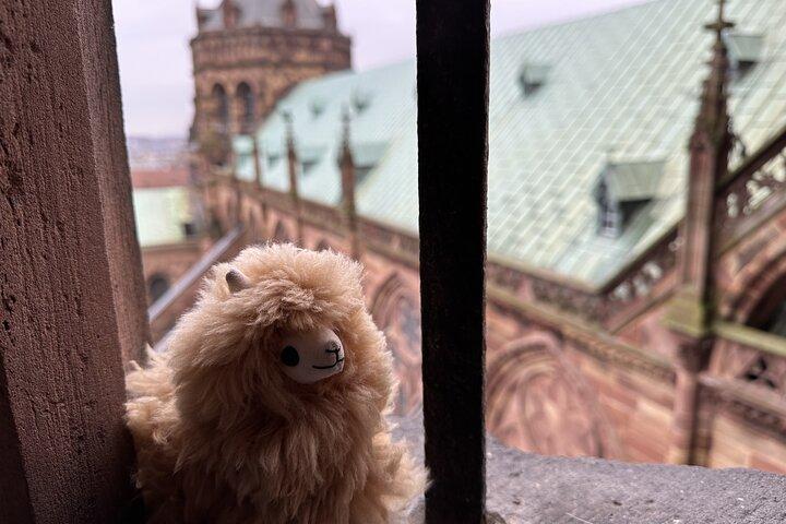 Alsace: Colmar, villages et château Visite guidée privée d'une journée