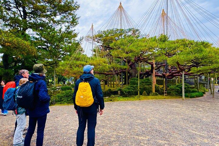 Tour privado de medio día - Castillo, jardín, distrito de Geisha