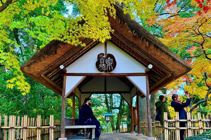 Tour privado de medio día - Castillo, jardín, distrito de Geisha